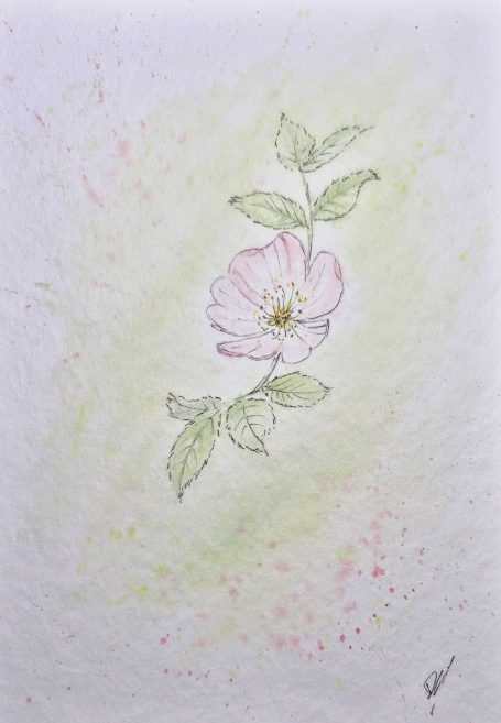 Rosa Blüte mit grünen Blättern, umgeben von leichtem, pastellfarbenem Hintergrund.