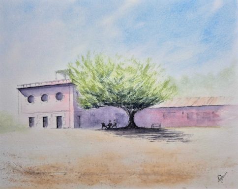 Haus mit einer großen, grünen Baumkrone im Vordergrund und blauem Himmel.